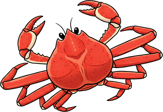 요이참치 참치 이미지