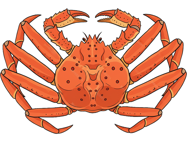 대게아나 박달대게 이미지