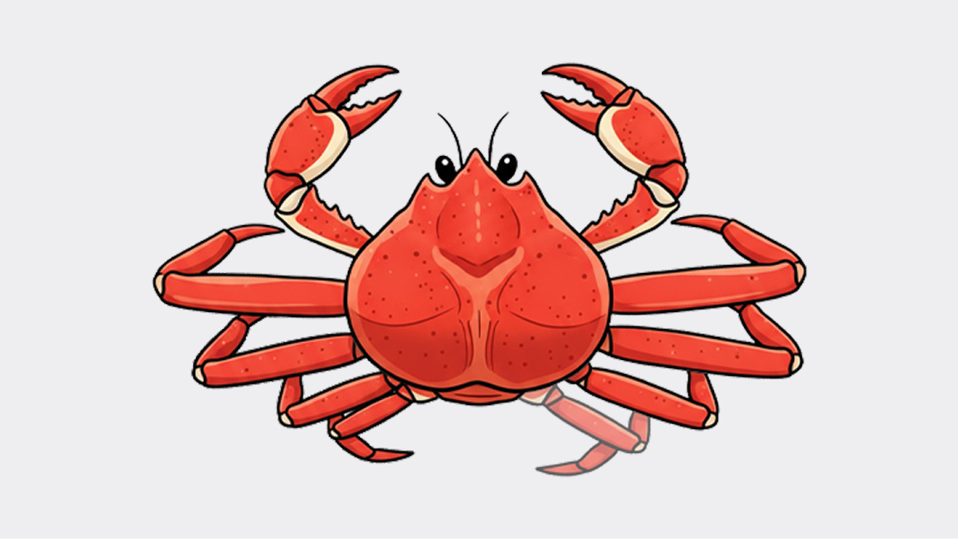 대게아나 특A급 다리