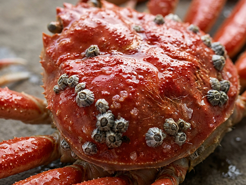 대게아나 조리 방식