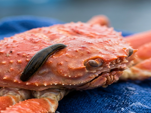 대게아나 조리 방식