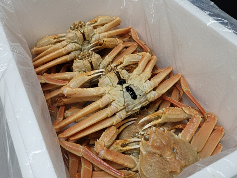 대게아나 박스 이미지