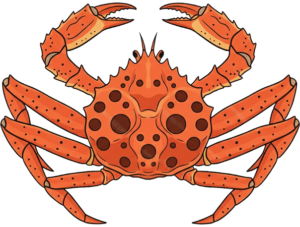 대게아나 박달대게 이미지