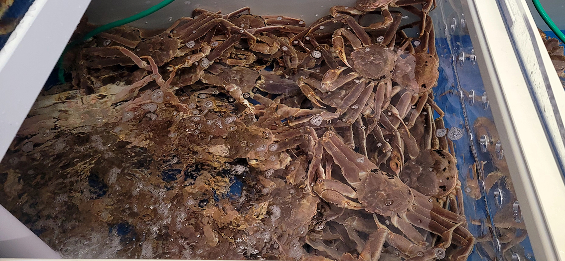 대게아나 조리 방식