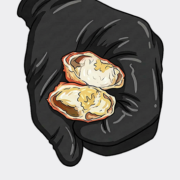 대게아나 수율 이미지